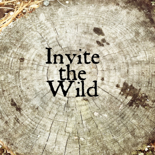 album cover for Invite The Wild's debut release