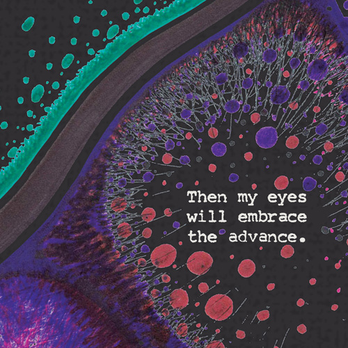 album cover for Then My Eyes Will Embrace The Advance