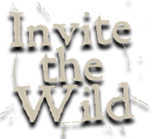 band logo for Invite The Wild